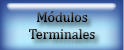 Modulos Terminales Seccion Electrica